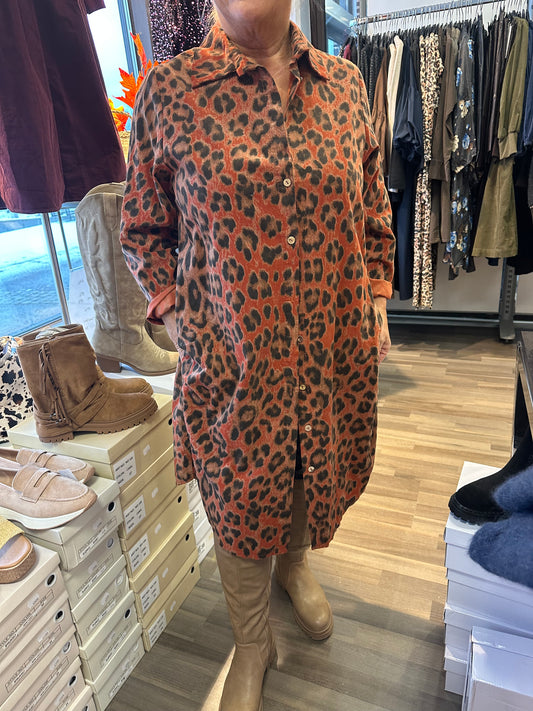 Samettipaitis leo oranssi