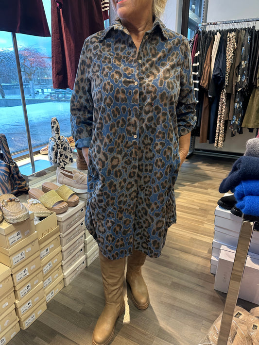 Samettipaitis leo sininen