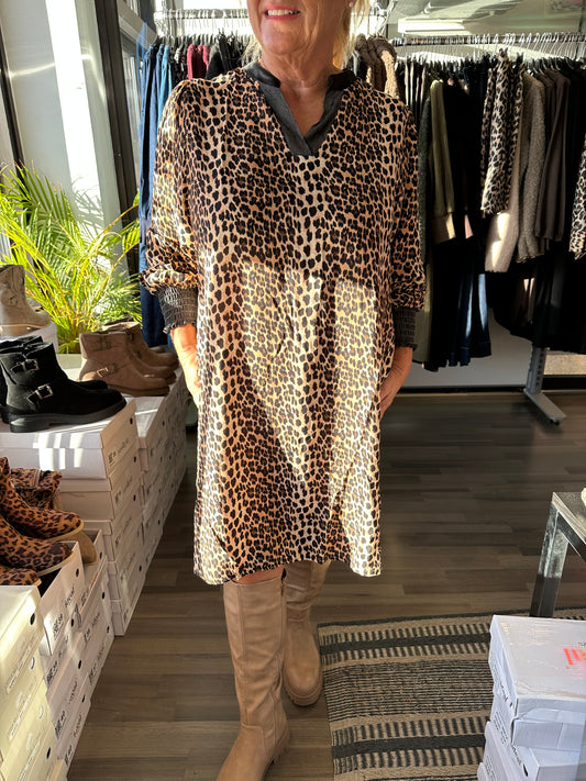 A-linjainen mekko leo